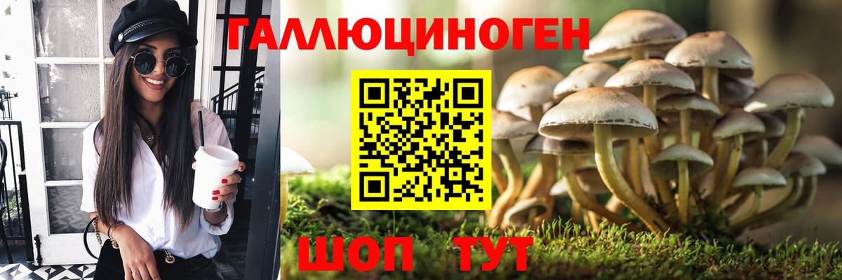 Галлюциногенные грибы Psilocybine cubensis  Вход с VPN  Краснокаменск 